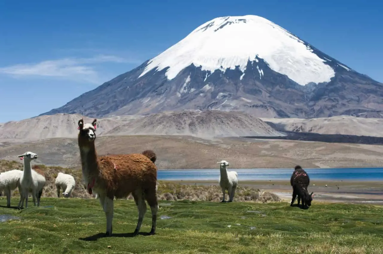 Lauca National Park in Chile to visit