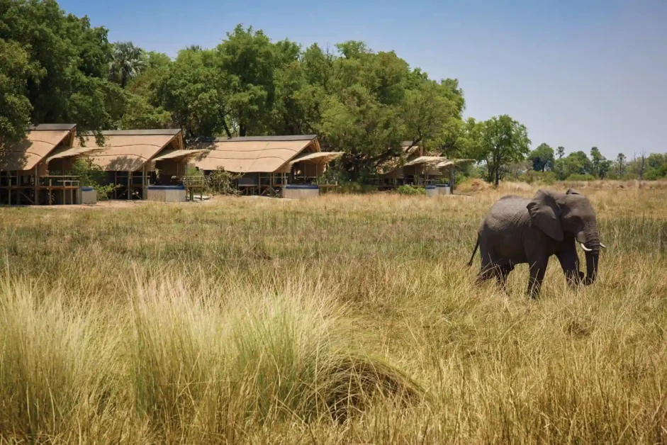 Ultimate Guide to Eco-Friendly Safari Lodges in South Africa