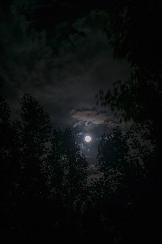 Fotografías de cielo nocturno