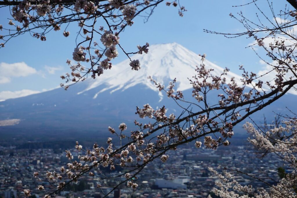 Japan’s Mount Fuji Caps Visitors and Adds Fees on Overcrowded Trail to Summit